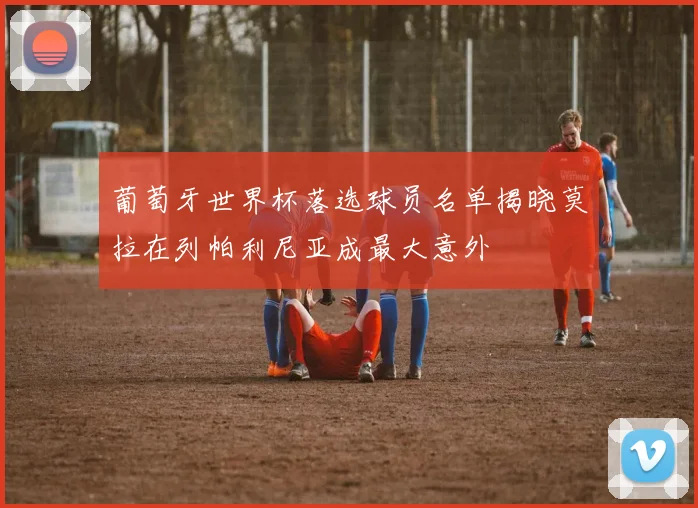 葡萄牙世界杯落选球员名单揭晓莫拉在列帕利尼亚成最大意外