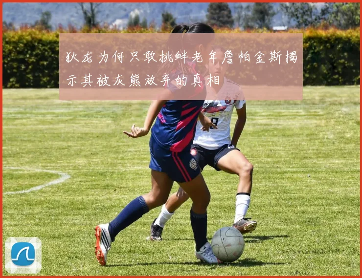 狄龙为何只敢挑衅老年詹帕金斯揭示其被灰熊放弃的真相