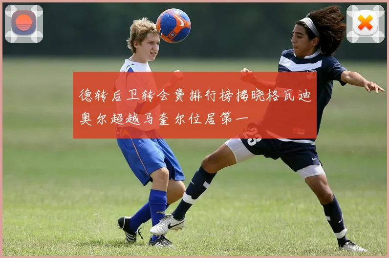 德转后卫转会费排行榜揭晓格瓦迪奥尔超越马奎尔位居第一